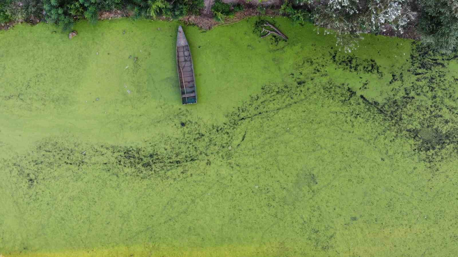 Tunca Nehri’nde kuraklık alarmı: Yolda çökmeler oluştu
