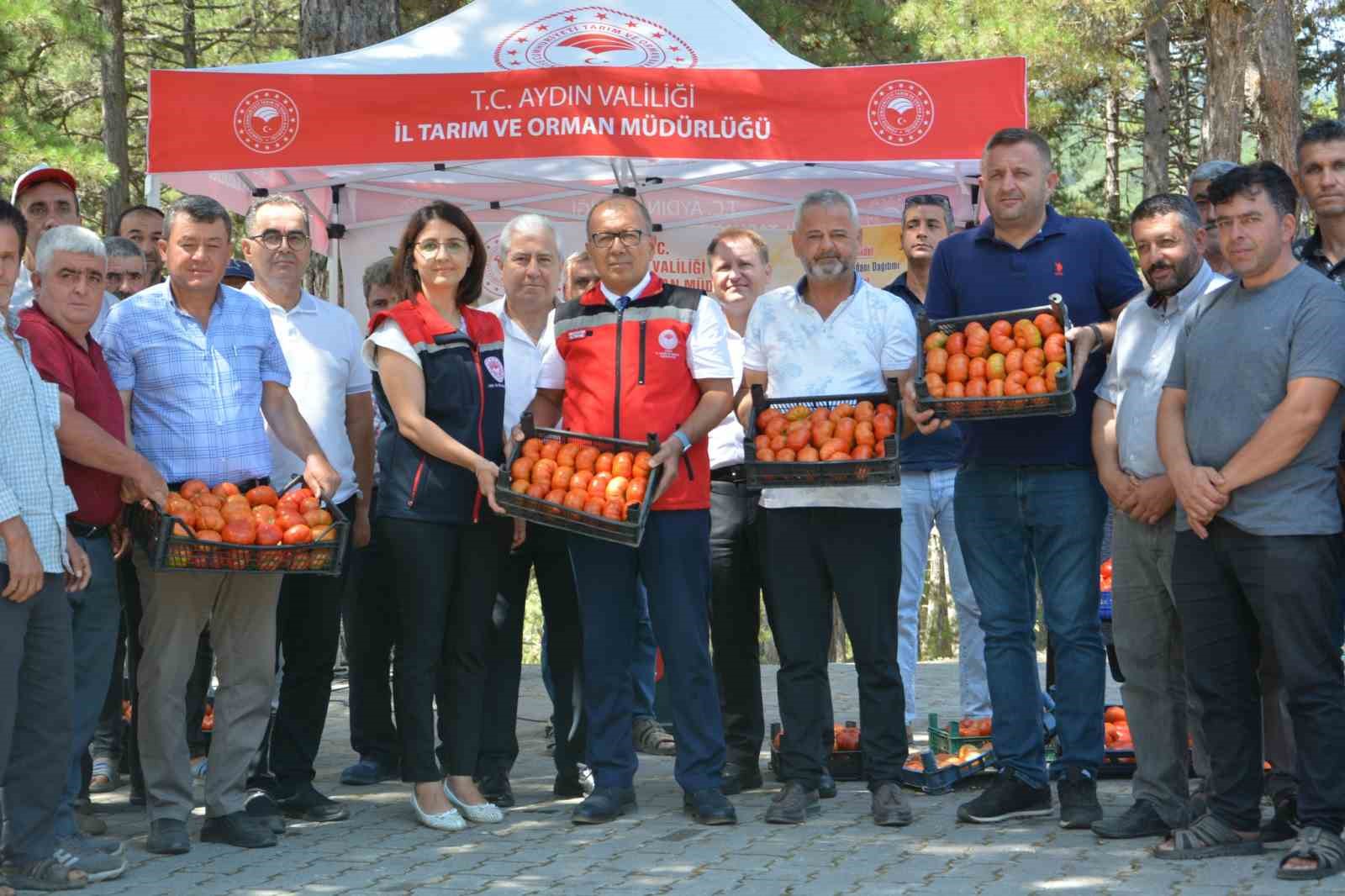 Kuyucak’ta geçci domates hasat şenliği yapıldı
