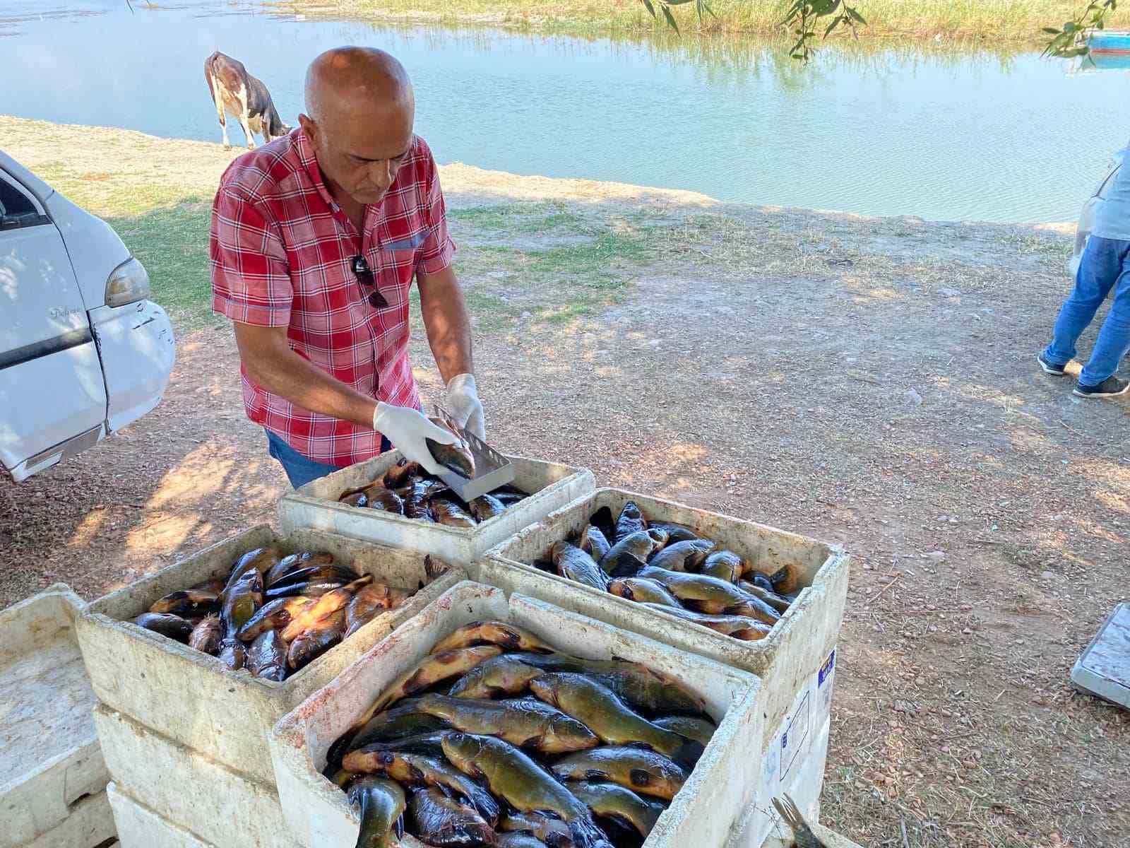 Beyşehir Gölünde avlanan balıklara boy limiti denetimi
