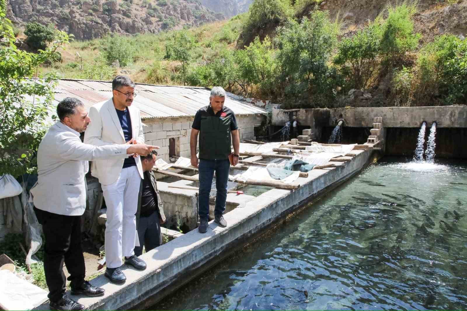 Vali Çelik, alabalık tesislerinde incelemelerde bulundu
