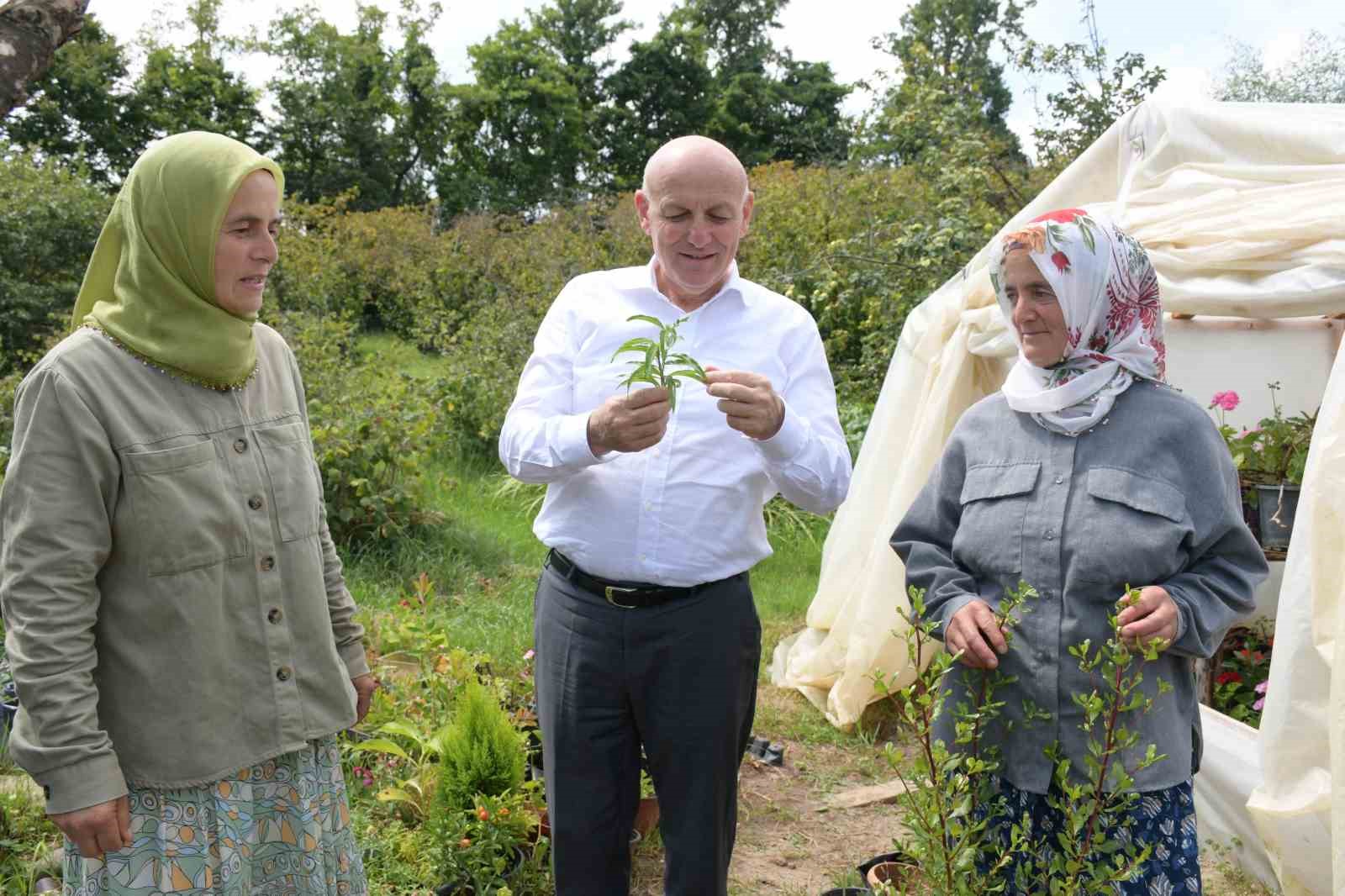 Aynı evde yaşayan 7 kız kardeş yüzlerce çeşit süs bitkisi yetiştiriyor
