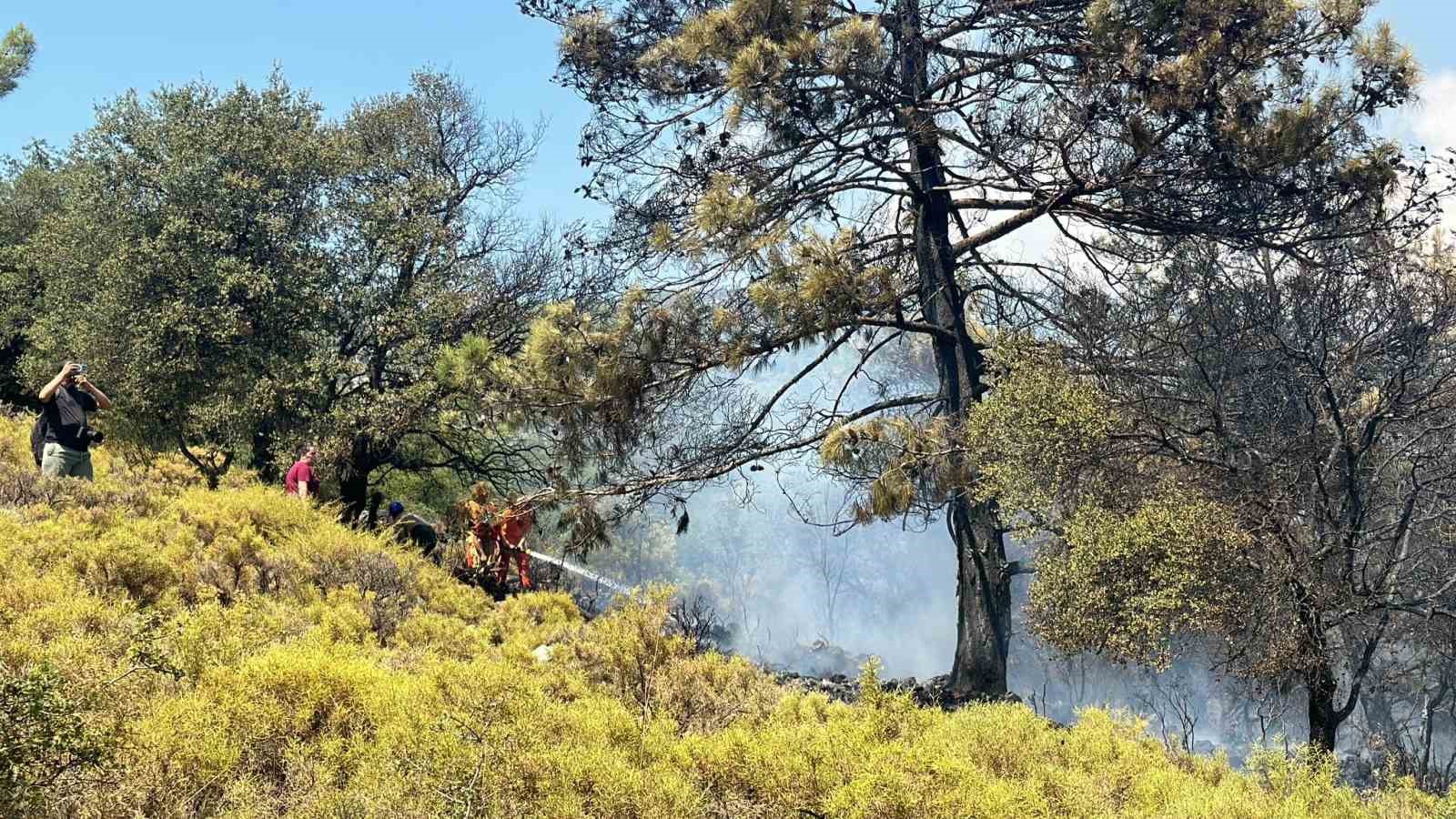 Fethiye’deki orman yangını kontrol altına alındı
