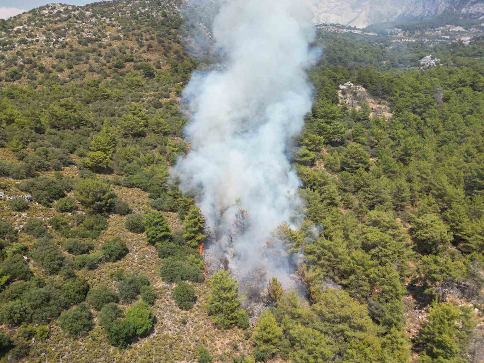 Fethiye’deki orman yangını kontrol altına alındı
