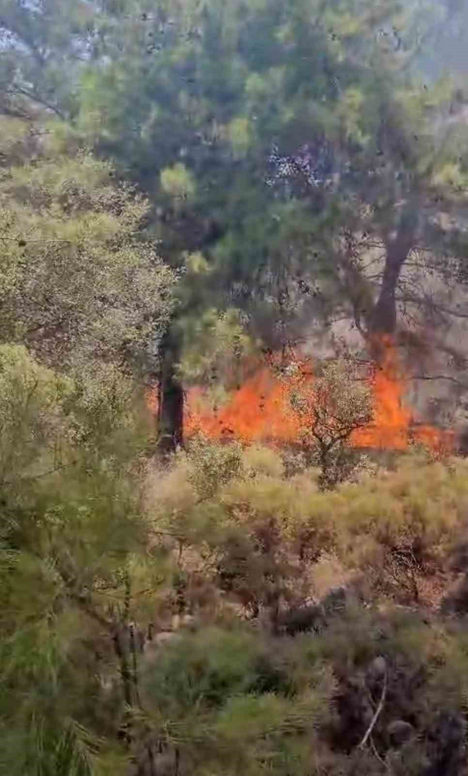 Fethiye’deki orman yangını kontrol altına alındı
