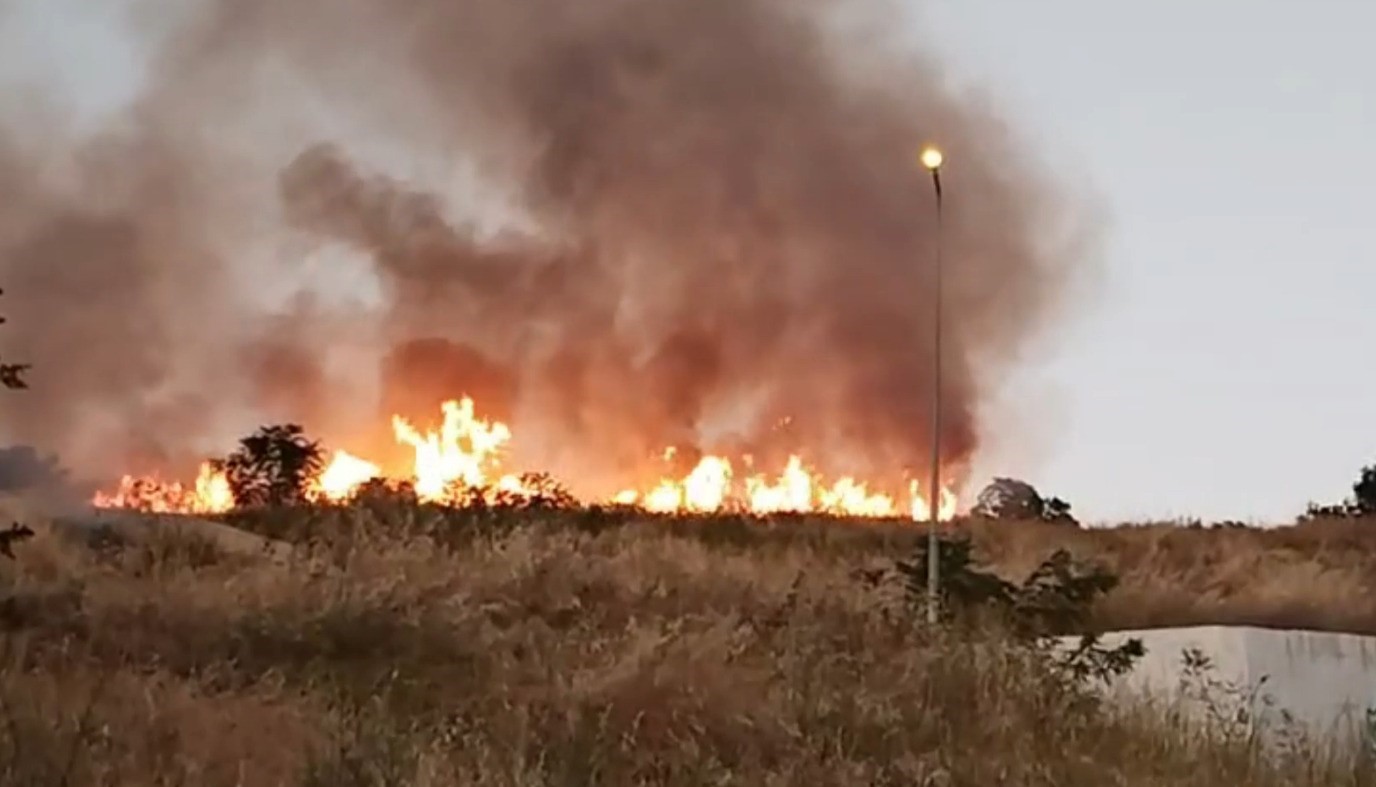 Tekirdağ’da Çırçır Tepesi’nde yangın
