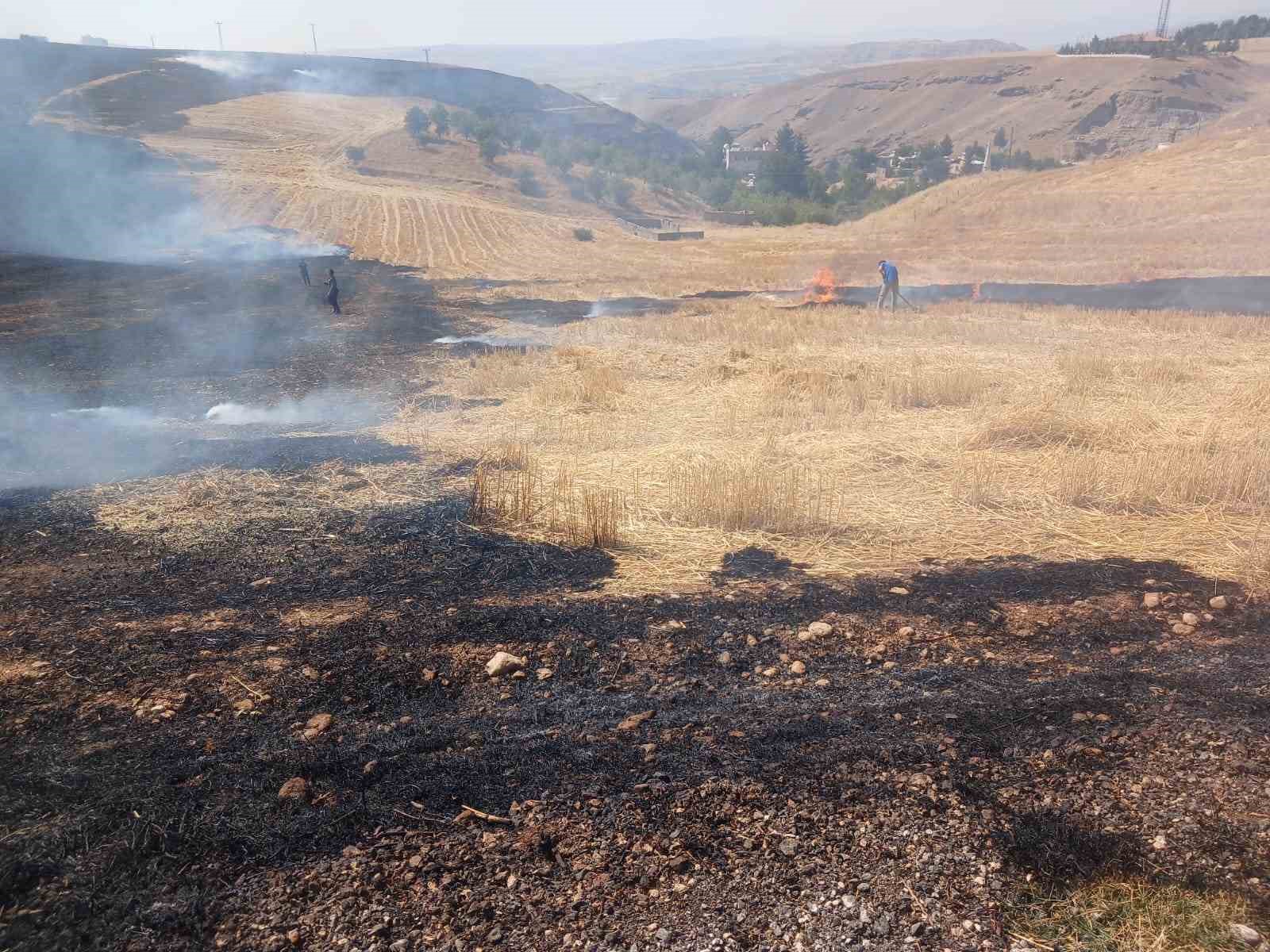 Siirt’te çıkan anız yangını söndürüldü
