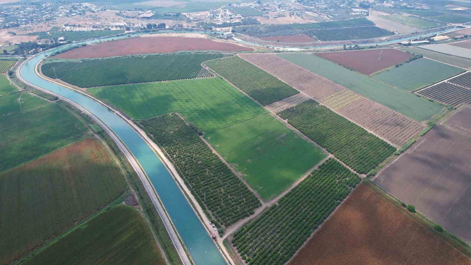 Adana çiftçisine ’su yok, ekim yapmayın’ uyarısı
