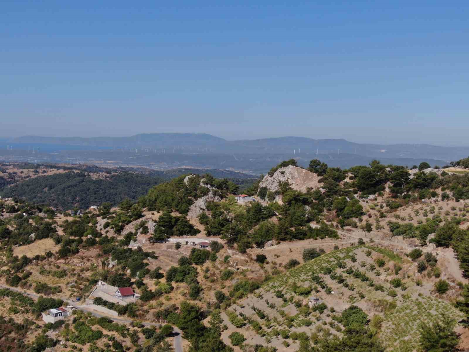 Sıcaklıklar İzmir’de incir hasadını 10 gün erkene çekti
