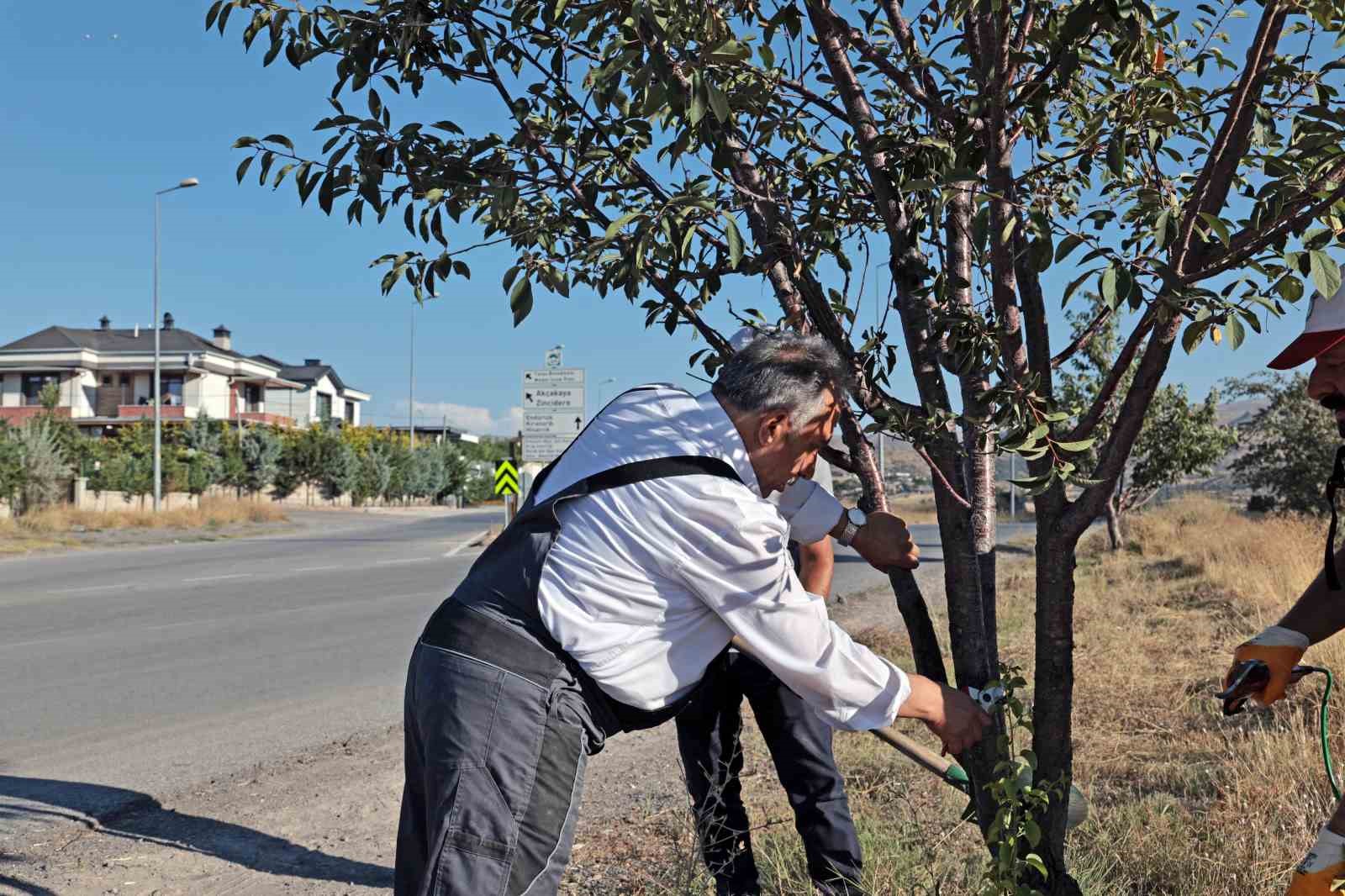 Talas’ın bahçıvan başkanı
