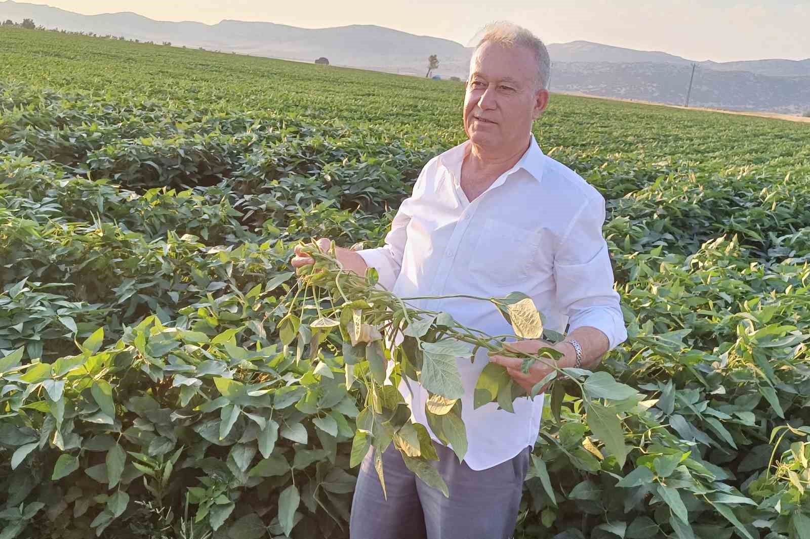 Arabanlı çiftçiler alternatif ürün olarak soya ekimine başladı
