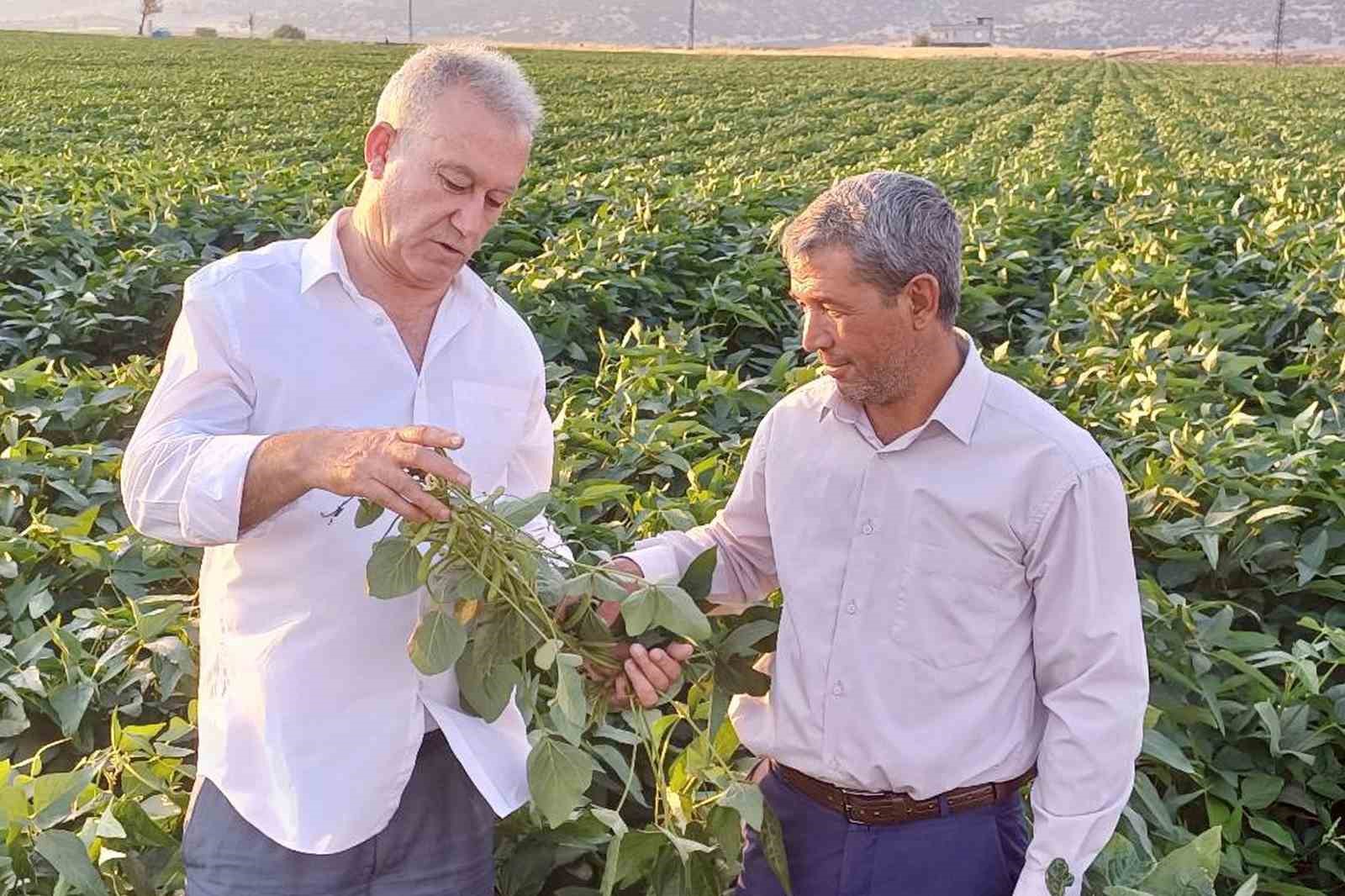 Arabanlı çiftçiler alternatif ürün olarak soya ekimine başladı
