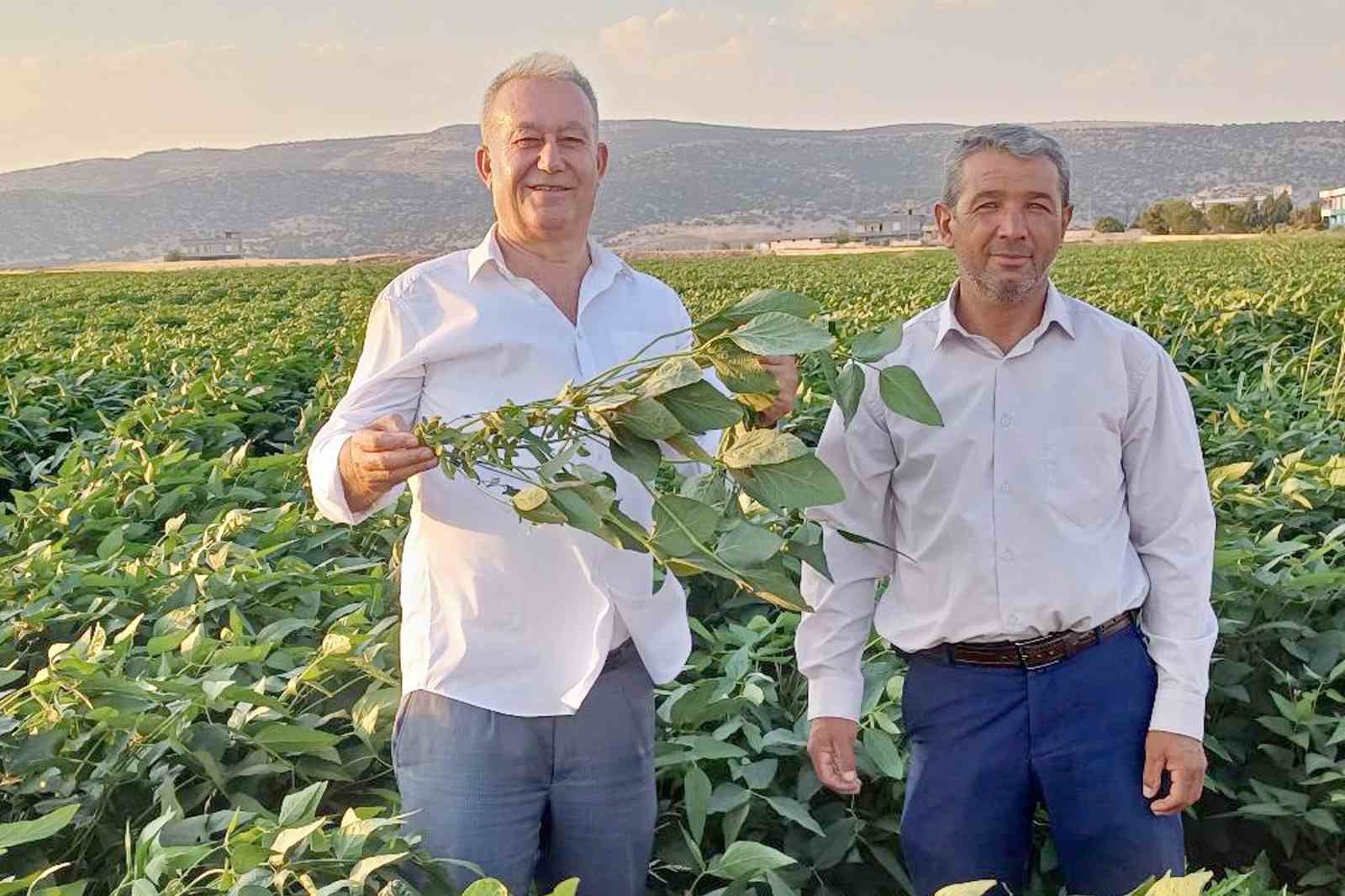 Arabanlı çiftçiler alternatif ürün olarak soya ekimine başladı
