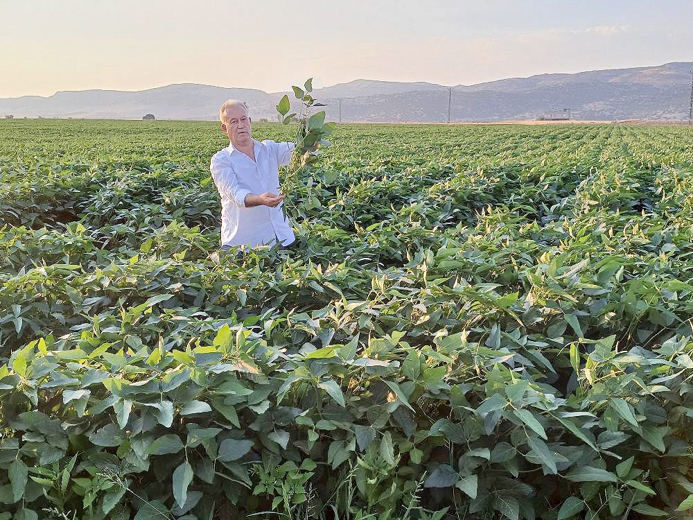 Arabanlı çiftçiler alternatif ürün olarak soya ekimine başladı
