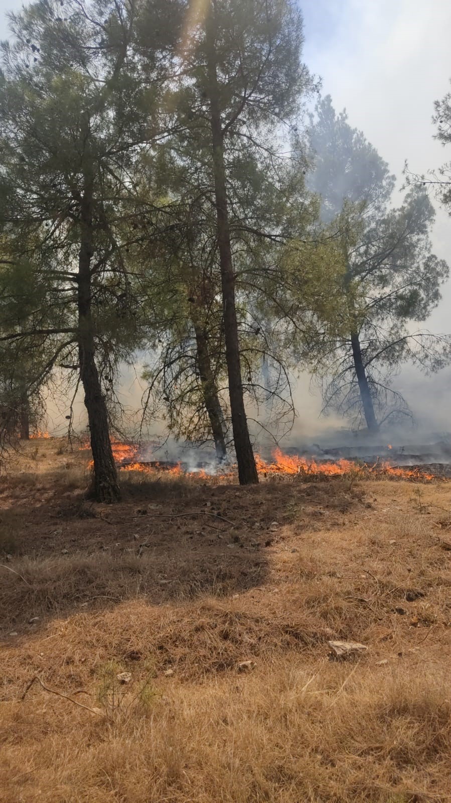 Denizli’de orman yangınına havadan ve karadan müdahale ediliyor
