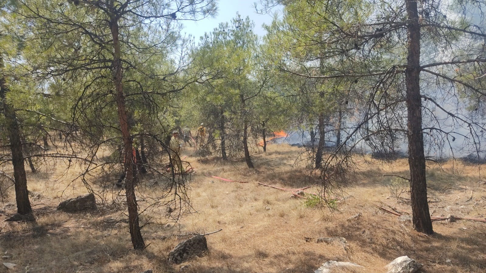 Denizli’de orman yangınına havadan ve karadan müdahale ediliyor
