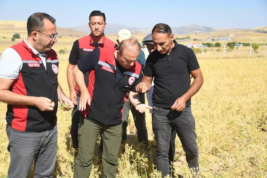 İl Müdürü Saklav, çiftçilerle hasat yaptı
