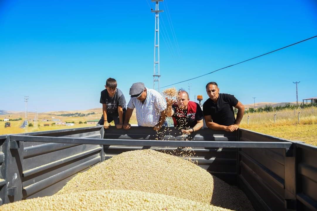 İl Müdürü Saklav, çiftçilerle hasat yaptı
