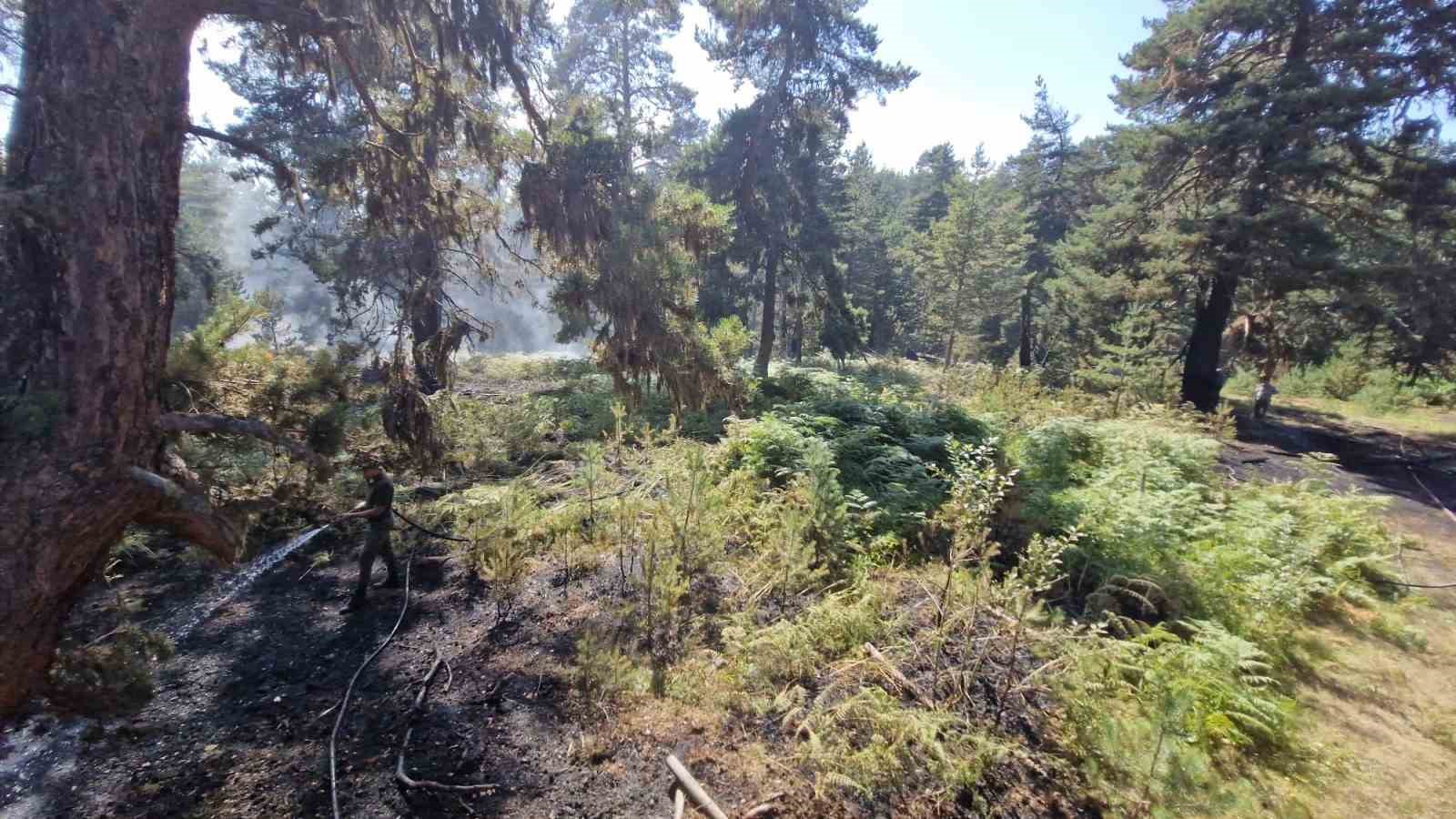 Kastamonu’da ormanlık alanda çıkan yangın büyümeden söndürüldü
