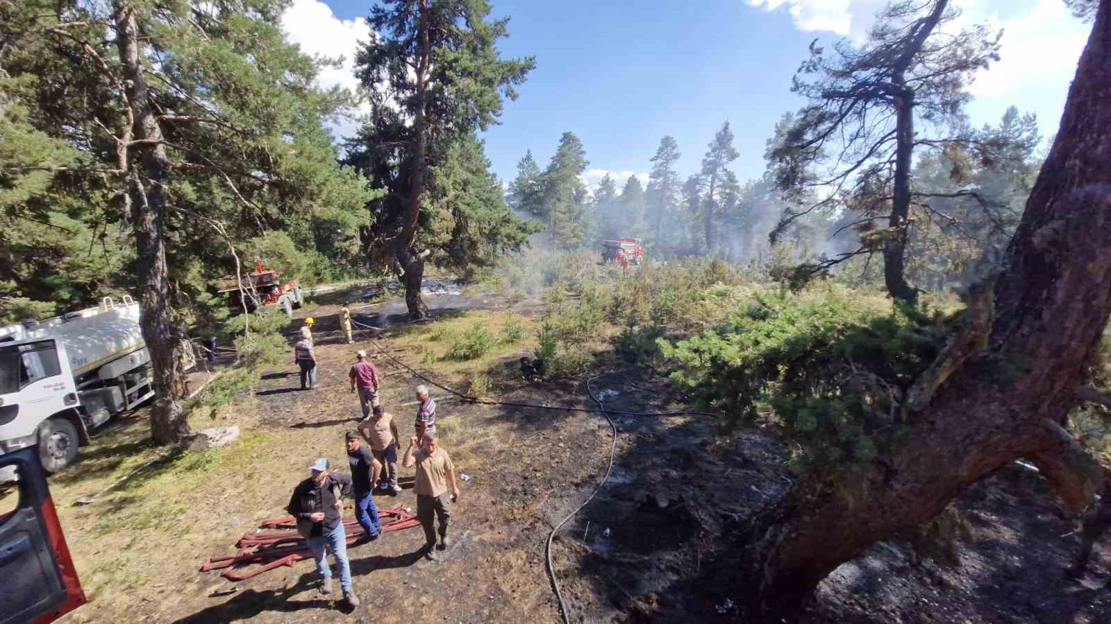 Kastamonu’da ormanlık alanda çıkan yangın büyümeden söndürüldü
