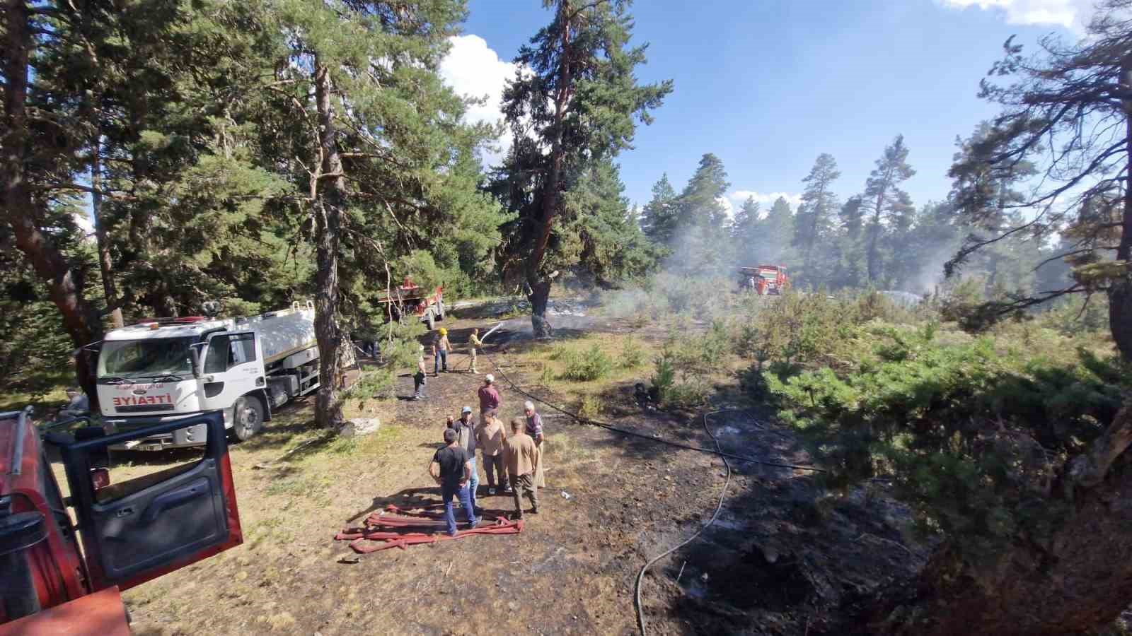 Kastamonu’da ormanlık alanda çıkan yangın büyümeden söndürüldü
