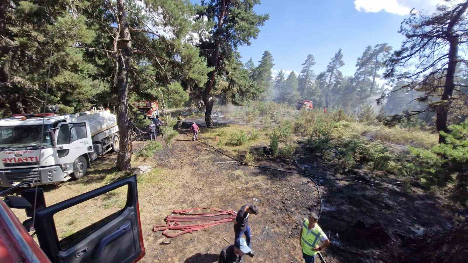 Kastamonu’da ormanlık alanda çıkan yangın büyümeden söndürüldü
