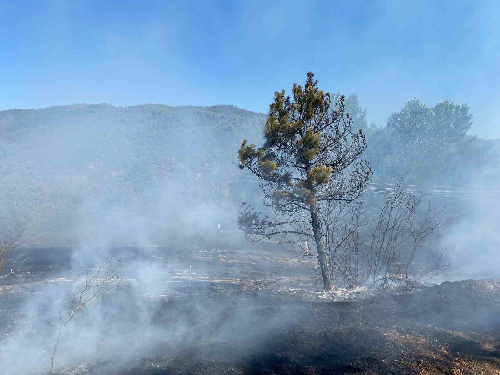 Anız yangınında 40 dönümlük arazi kül oldu
