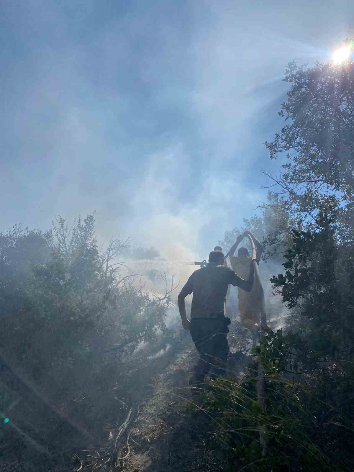 Anız yangınında 40 dönümlük arazi kül oldu
