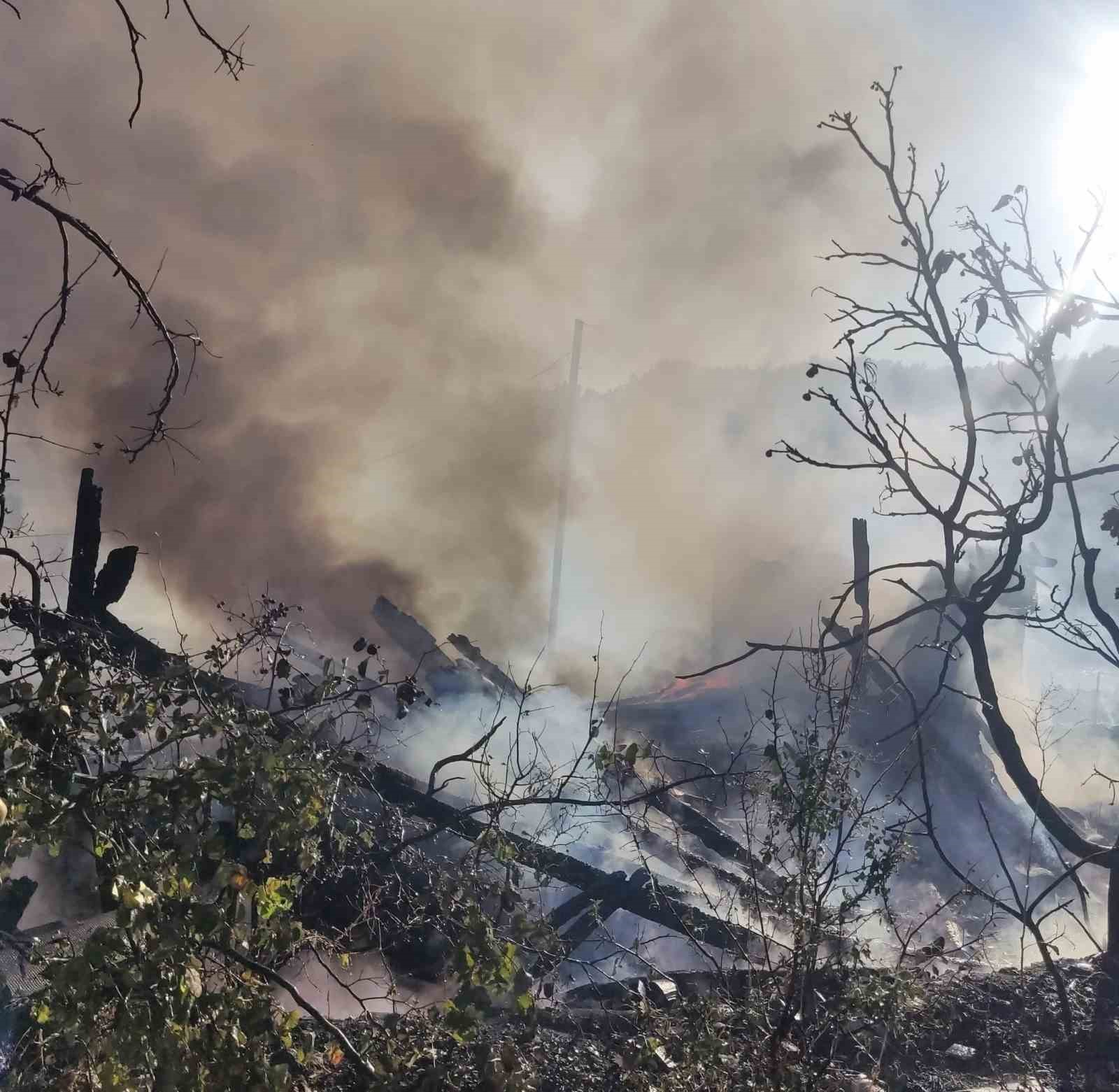 Çanakkale’de ziraat alanındaki yangın kontrol altına alındı
