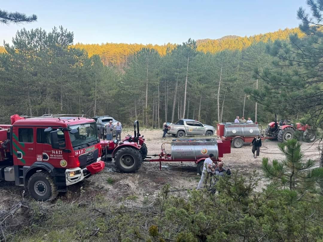 Bolu’da örtü yangınında 2 dönümlük alan kül oldu
