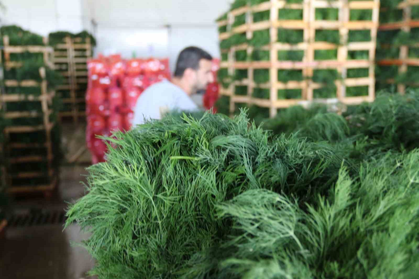 Eskişehirli çiftçilerin ihracat başarısı
