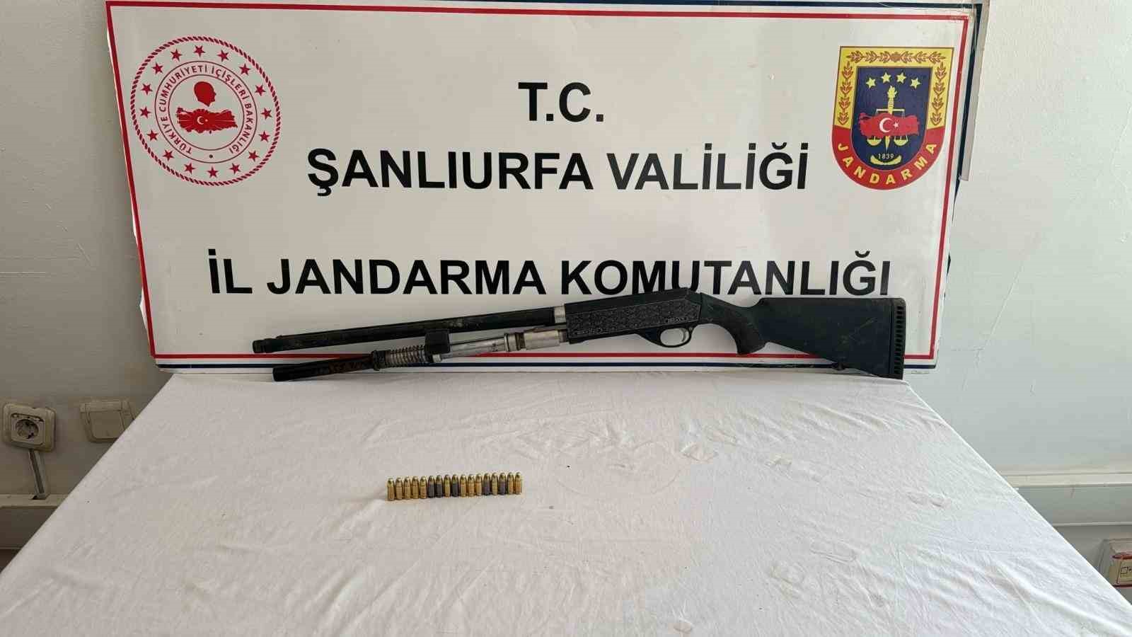 Suruç’ta 169 kök kenevir bitkisi ele geçirildi
