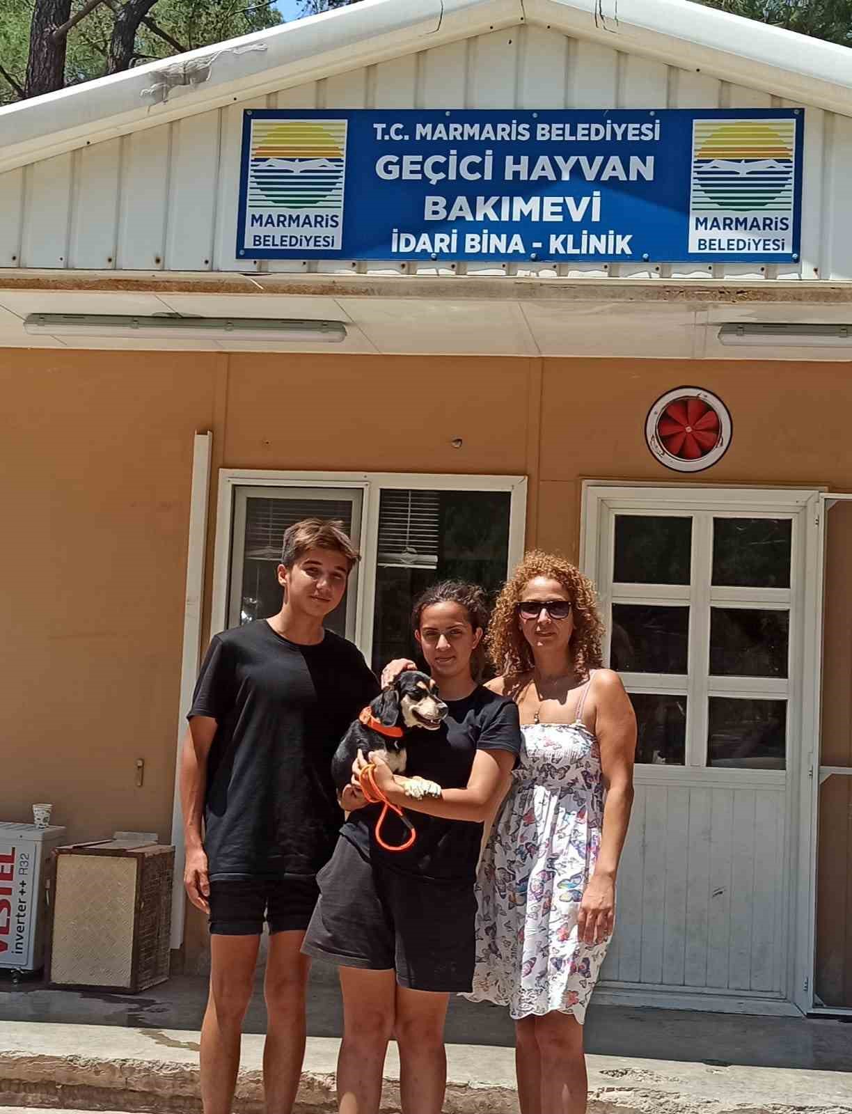 Marmaris’te 7 ayda 157 patili dost yeni yuvasına kavuştu
