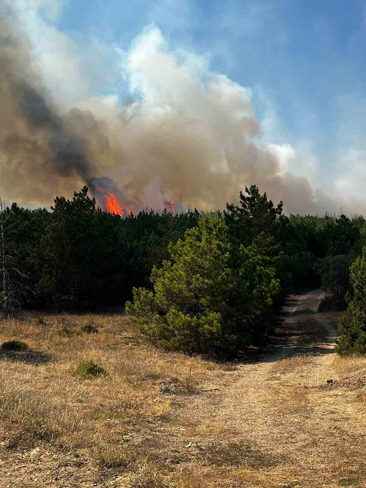 Yozgat’ta orman yangınına müdahale sürüyor
