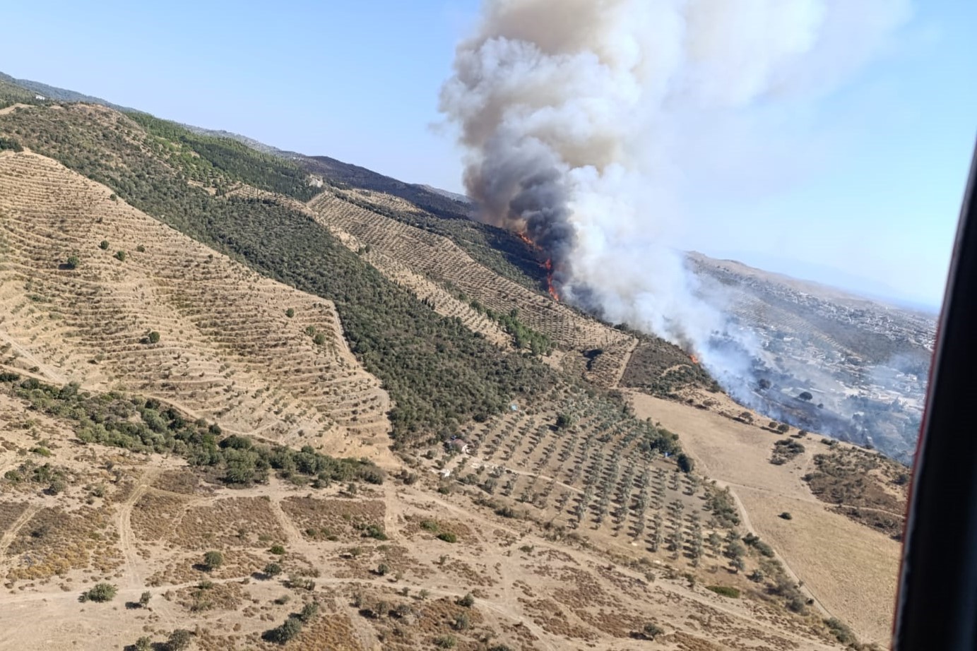 İzmir’de ormana sirayet eden yangına havadan ve karadan müdahale
