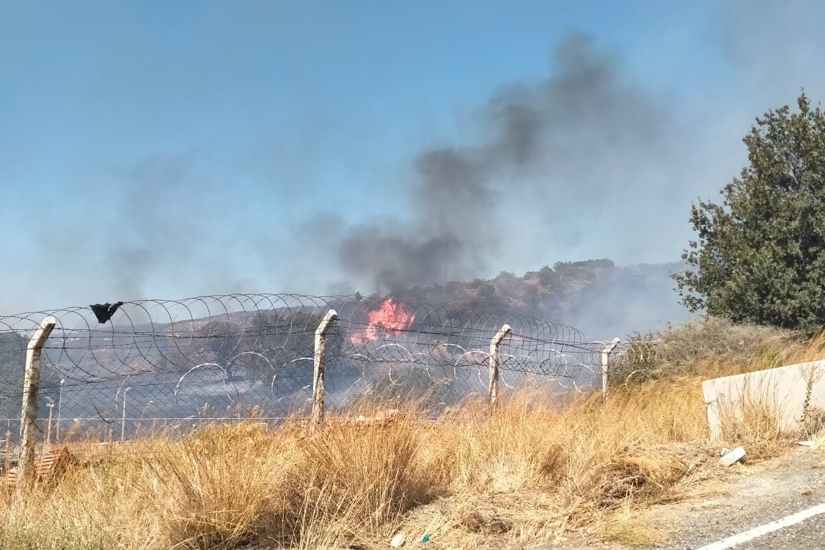 İzmir’de ormana sirayet eden yangına havadan ve karadan müdahale
