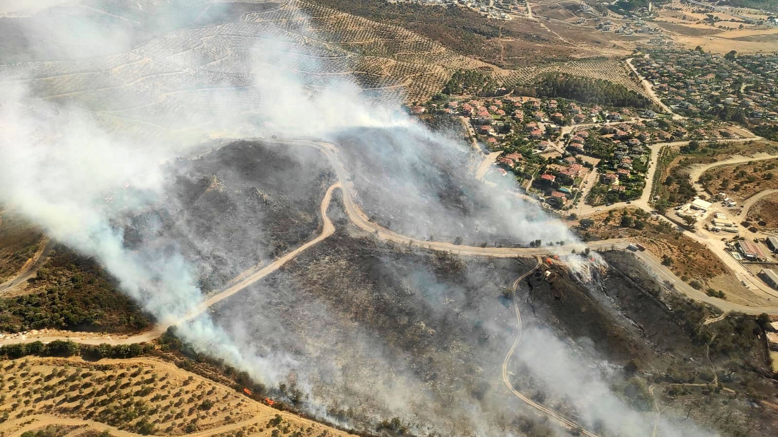 İzmir’de ormana sirayet eden yangına havadan ve karadan müdahale
