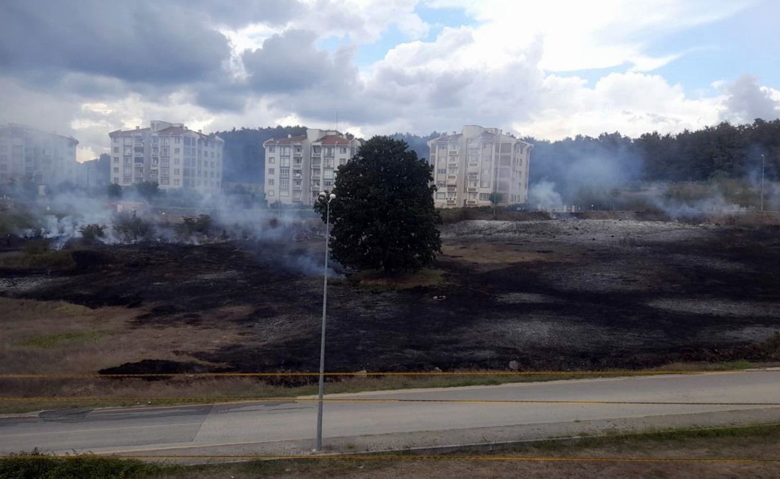 Sakarya’da otluk alanda yangın
