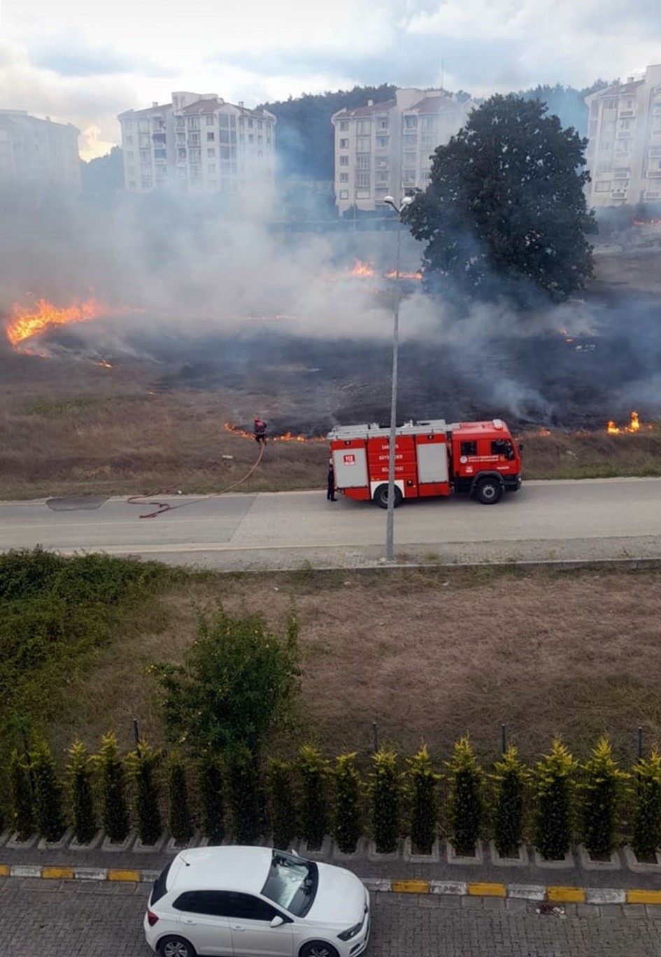 Sakarya’da otluk alanda yangın
