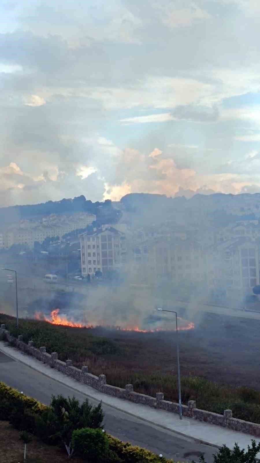 Sakarya’da otluk alanda yangın
