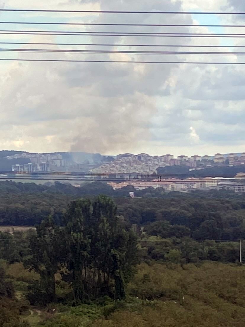 Sakarya’da otluk alanda yangın
