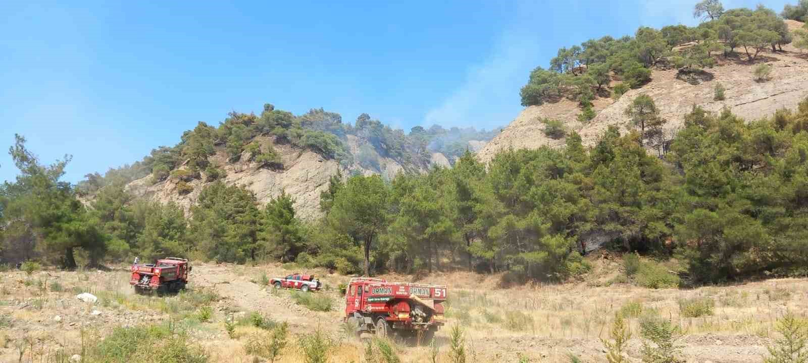 Manisa’daki orman yangınına müdahale devam ediyor
