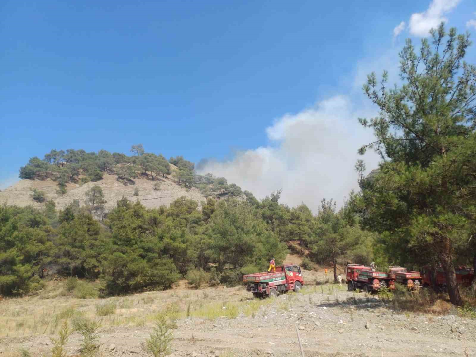 Manisa’daki orman yangınına müdahale devam ediyor
