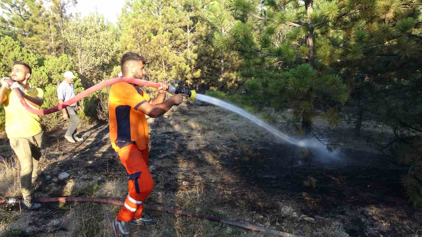 Yozgat’ta çıkan orman yangını kontrol altına alındı
