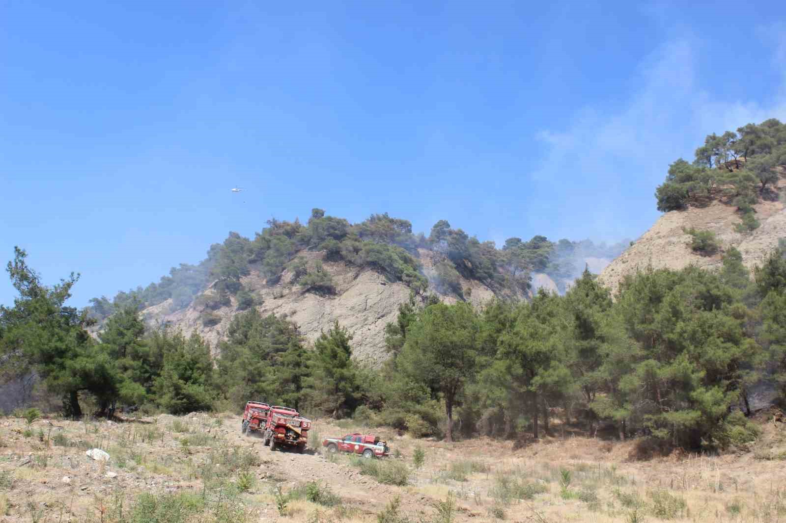 Manisa’daki orman yangını 8 saattir sürüyor
