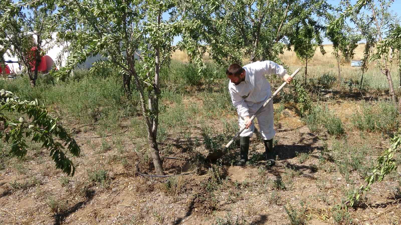 Bozkırı badem bahçesine dönüştürdü
