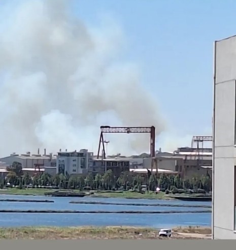 Tuzla Tersanesi’nin yanındaki ağaçlık alanda korkutan yangın
