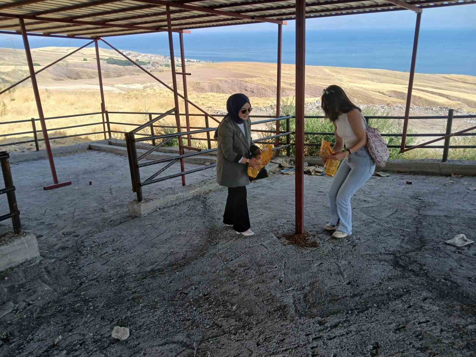 Ahlat’ta köpeklerin öldürüldüğü yönündeki haberlere tepki
