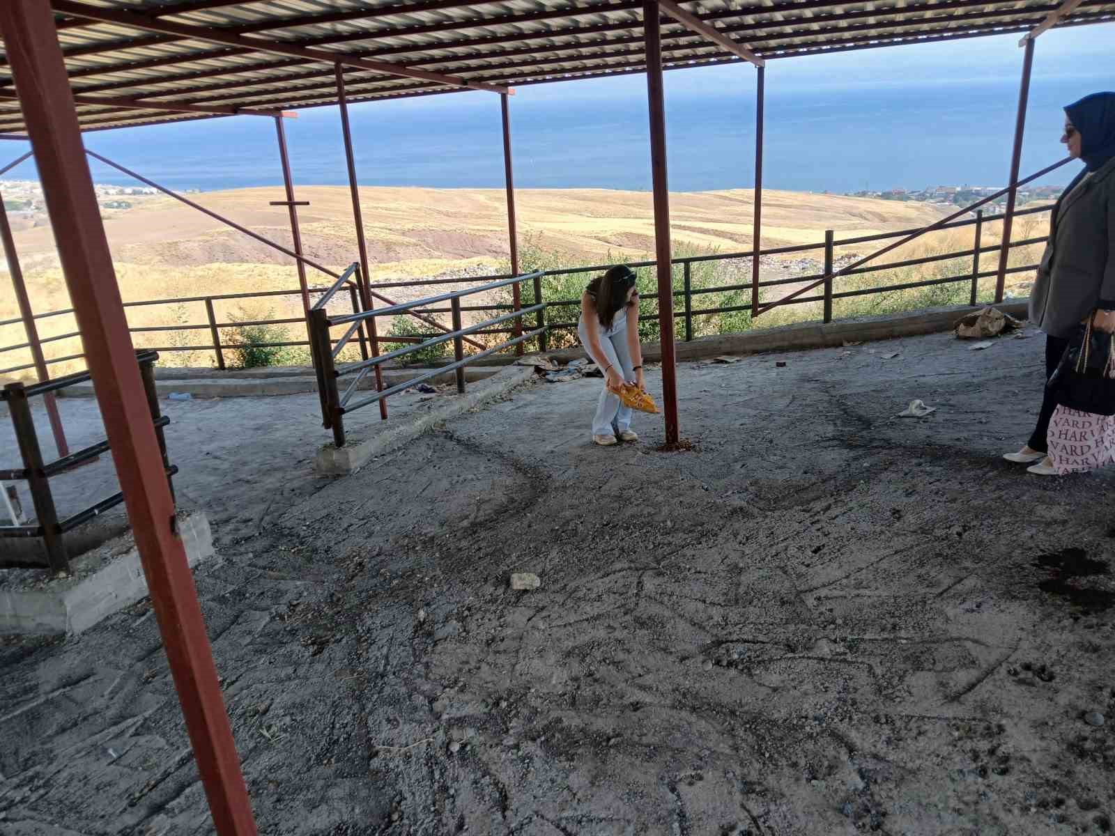 Ahlat’ta köpeklerin öldürüldüğü yönündeki haberlere tepki
