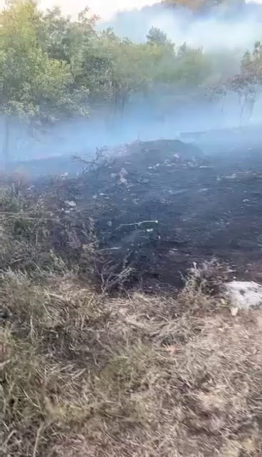 Sakarya’da orman yangını
