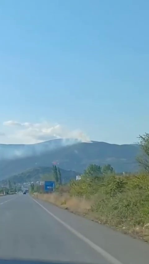 Sakarya’da orman yangını
